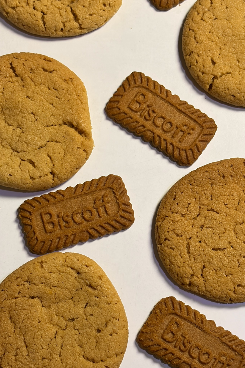 Biscoff Butter Cookies Recipe